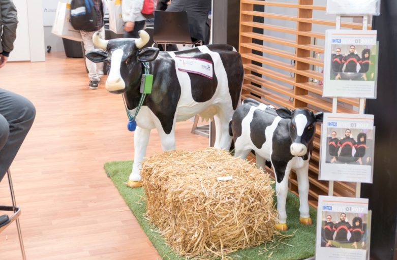 Kühe dürfen auch auf der CeBIT nicht fehlen. (Foto: DFKI)